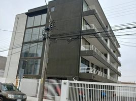 1 Bedroom Condo for rent in Chile, Coquimbo, Elqui, Coquimbo, Chile