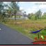  Land for sale in Ubud, Gianyar, Ubud