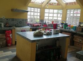 3 Schlafzimmer Haus zu verkaufen in Tianguistenco, Mexico, Tianguistenco