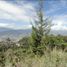  Land for sale in Bare Foot Park (Parque de los Pies Descalzos), Medellin, Medellin