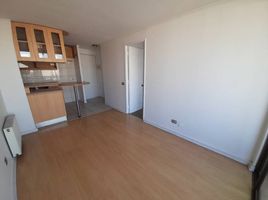 1 Habitación Apartamento en alquiler en Cordillera, Santiago, Puente Alto, Cordillera