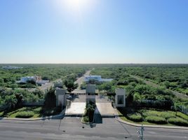  Terreno (Parcela) en venta en Conkal, Yucatán, Conkal