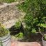 Studio House for sale in Tizimin, Yucatan, Tizimin