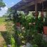 Studio House for sale in Tizimin, Yucatan, Tizimin