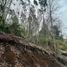  Land for sale in Chile, Freire, Cautin, Araucania, Chile