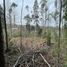  Land for sale in Chile, Freire, Cautin, Araucania, Chile