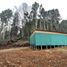  Land for sale in Chile, Freire, Cautin, Araucania, Chile