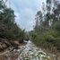  Land for sale in Chile, Freire, Cautin, Araucania, Chile