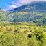  Terreno (Parcela) en venta en Chile, Rio Ibanez, General Carrera, Aisén del General Carlos Ibáñez del Campo, Chile