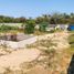  Land for sale in Tomas De Berlanga Santo Tomas, Galapagos, Tomas De Berlanga Santo Tomas, Isabela, Galapagos