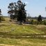  Terreno (Parcela) en venta en Chile, Puerto Varas, Llanquihue, Los Lagos, Chile