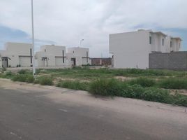  Terreno (Parcela) en venta en Torreon, Coahuila, Torreon