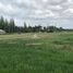  Land for sale in Chile, Los Angeles, Biobío, Biobío, Chile