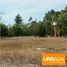  Villa for rent in Freire, Araucania, Freire, Cautin, Araucania