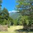  Land for sale in Chile, Chaiten, Palena, Los Lagos, Chile