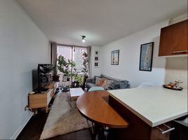 2 Habitación Apartamento en venta en Santiago, Santiago, Santiago, Santiago