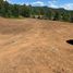 Terreno (Parcela) en venta en Loncoche, Cautín, Loncoche