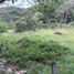  Grundstück zu verkaufen in Loja, Loja, Loja, Loja, Loja