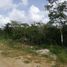  Grundstück zu verkaufen in Progreso, Yucatan, Progreso