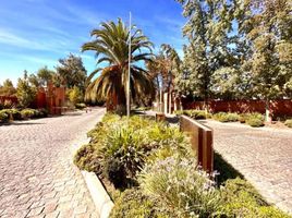  Terreno (Parcela) en venta en Santiago, Santiago, Santiago, Santiago