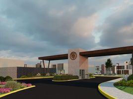  Terreno (Parcela) en venta en San Agustin Tlaxiaca, Hidalgo, San Agustin Tlaxiaca