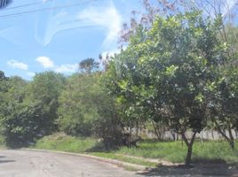  Land for sale in Mandaue City, Cebu, Mandaue City