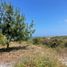  Terreno (Parcela) en venta en San Jose De Ancon, Santa Elena, San Jose De Ancon
