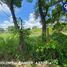  Land for sale in Jalpa De Mendez, Tabasco, Jalpa De Mendez