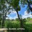  Land for sale in Jalpa De Mendez, Tabasco, Jalpa De Mendez