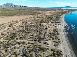 Terrain à vendre à Comondu, Baja California Sur, Comondu