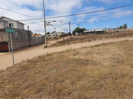  Grundstück zu verkaufen in Tijuana, Baja California, Tijuana