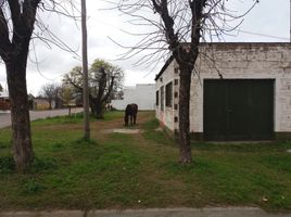  Terreno (Parcela) en venta en Salliquelo, Buenos Aires, Salliquelo