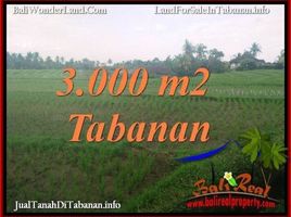  Tanah for sale in Selemadeg, Tabanan, Selemadeg