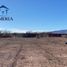 Studio House for sale in Satevo, Chihuahua, Satevo