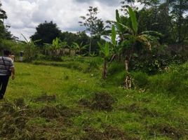  Land for sale in Sukabumi, West Jawa, Sukabumi, Sukabumi