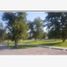  Land for sale in Torreon, Coahuila, Torreon