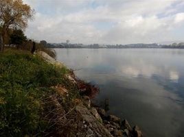  Land for sale in Mariquina, Valdivia, Mariquina