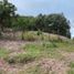  Land for sale in Ameca, Jalisco, Ameca