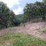  Land for sale in Ameca, Jalisco, Ameca