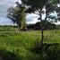  Terreno (Parcela) en venta en San Fernando, Chaco, San Fernando