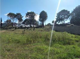  Land for sale in Villa Gesell, Buenos Aires, Villa Gesell