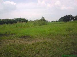  Land for sale in Duran, Guayas, Eloy Alfaro Duran, Duran