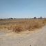  Land for sale in Silao, Guanajuato, Silao