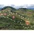 Terrain à vendre à Barbosa, Antioquia, Barbosa