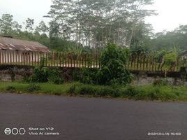  Land for sale in Kunir, Lumajang, Kunir