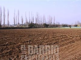  Terreno (Parcela) en venta en Colina, Chacabuco, Colina