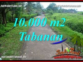  Land for sale in Selemadeg, Tabanan, Selemadeg