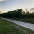  Land for sale in Acanceh, Yucatan, Acanceh