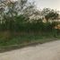  Land for sale in Acanceh, Yucatan, Acanceh