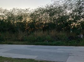  Land for sale in Acanceh, Yucatan, Acanceh